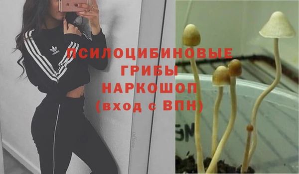 ПСИЛОЦИБИНОВЫЕ ГРИБЫ Дмитровск