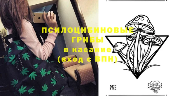 таблы Горно-Алтайск