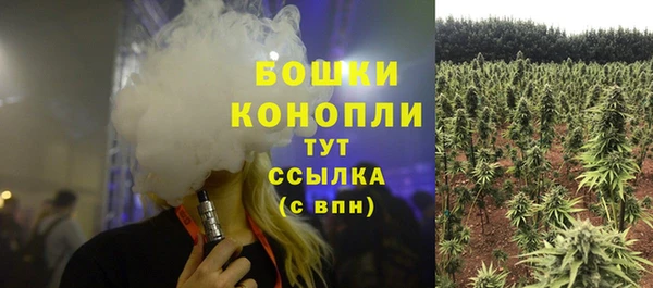 ГАЛЛЮЦИНОГЕННЫЕ ГРИБЫ Дмитров