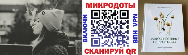 Галлюциногенные грибы Psilocybe Нахабино